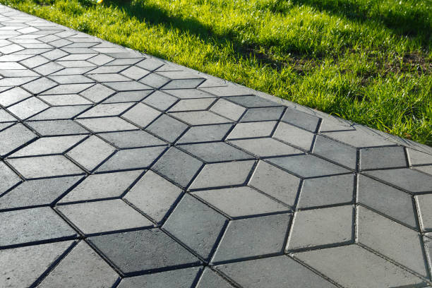 Best Professional Driveway Pavers  in Cottage Grove, MN